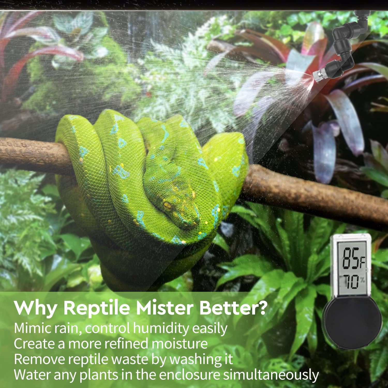 Reptile Terrarium Misting Systems: Matching Output, Droplet Size, and Timer Control to Your Species' Needs